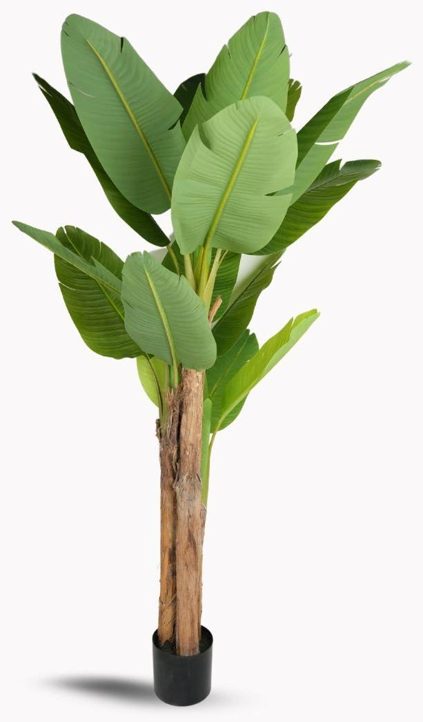 Banana Tree x20Lvs 3 Trunk PE Leaves And Wooden Trunk 200cm